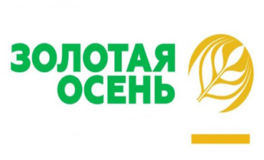 Результаты конкурса «Золотая Осень-2020»